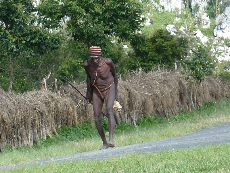 23_Dani_jde_buď_domů_nebo_na_pole.JPG