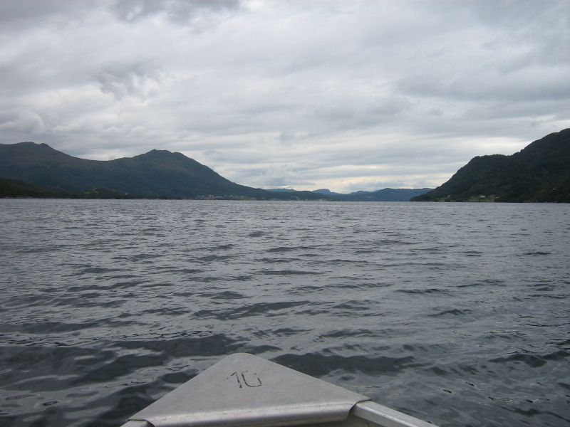 IMG_4251.JPG