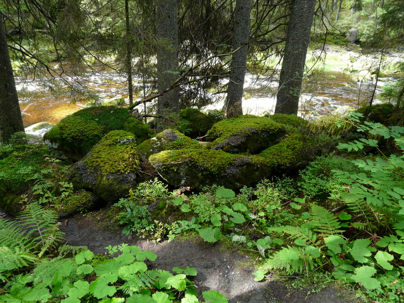 07 P1310567