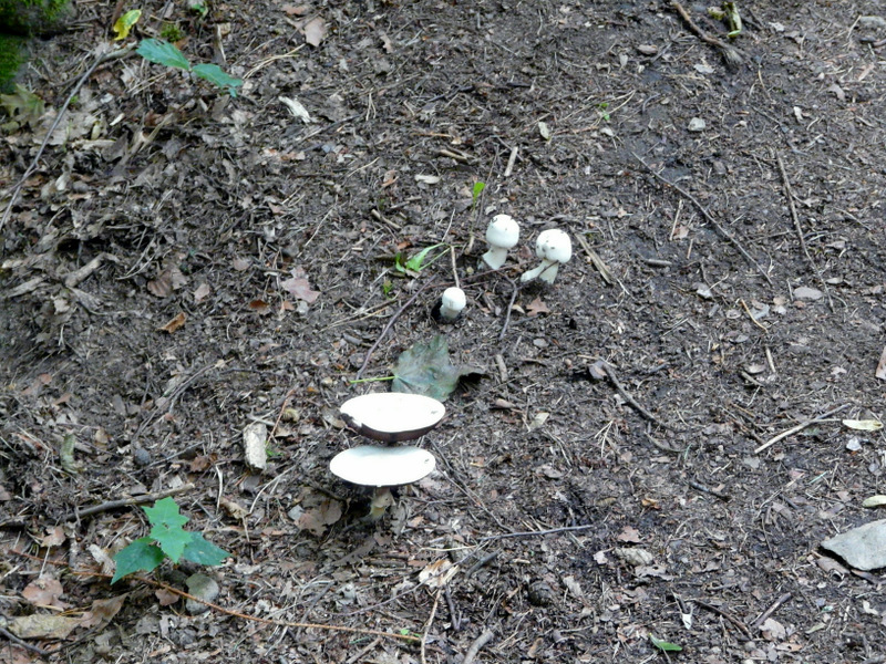 00 P1300767