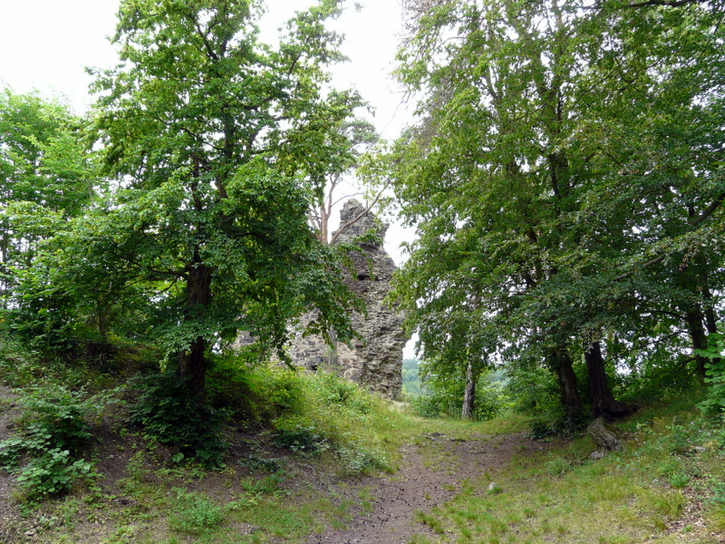 20 P1300813