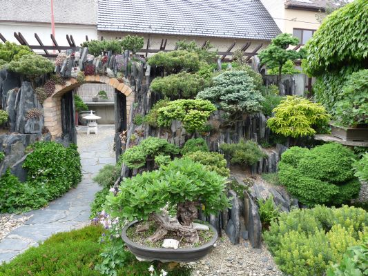 P1070191.JPG