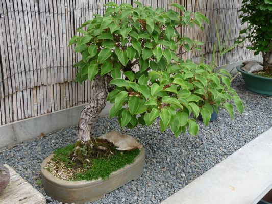 P1070200.JPG