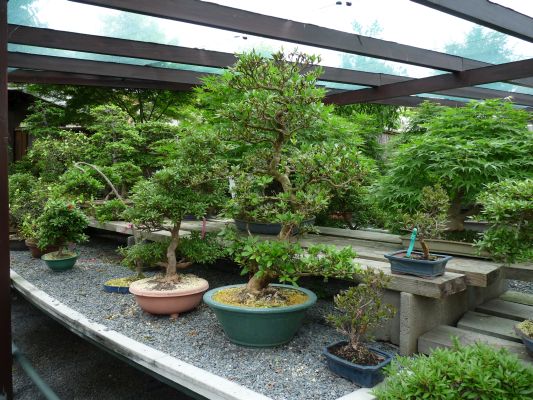 P1070242.JPG
