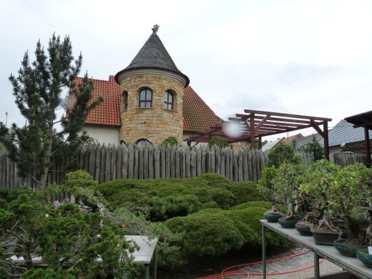 P1070261.JPG