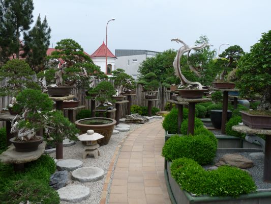 P1070269.JPG