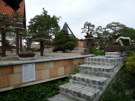 P1070287.JPG