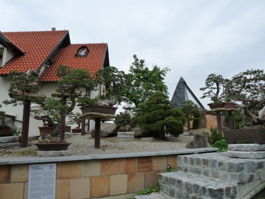 P1070288.JPG