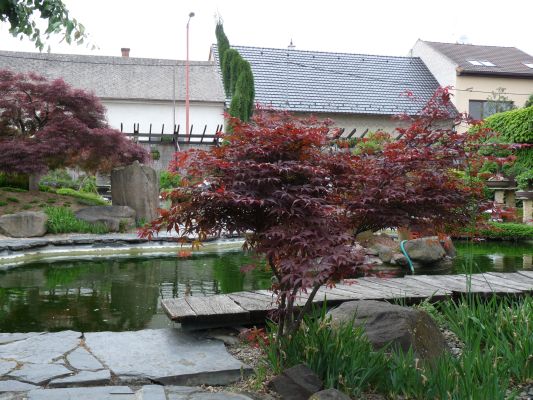 P1070301.JPG