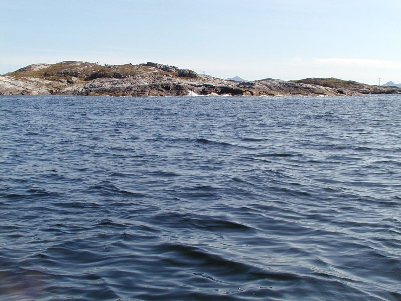 P8190091.JPG