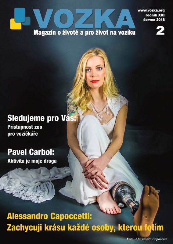 VOZKA_221.jpg