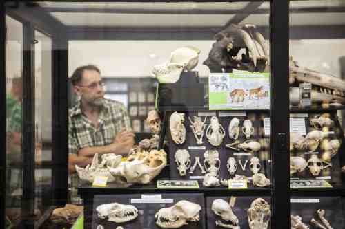 Stomatologick muzeum 1 LF UK