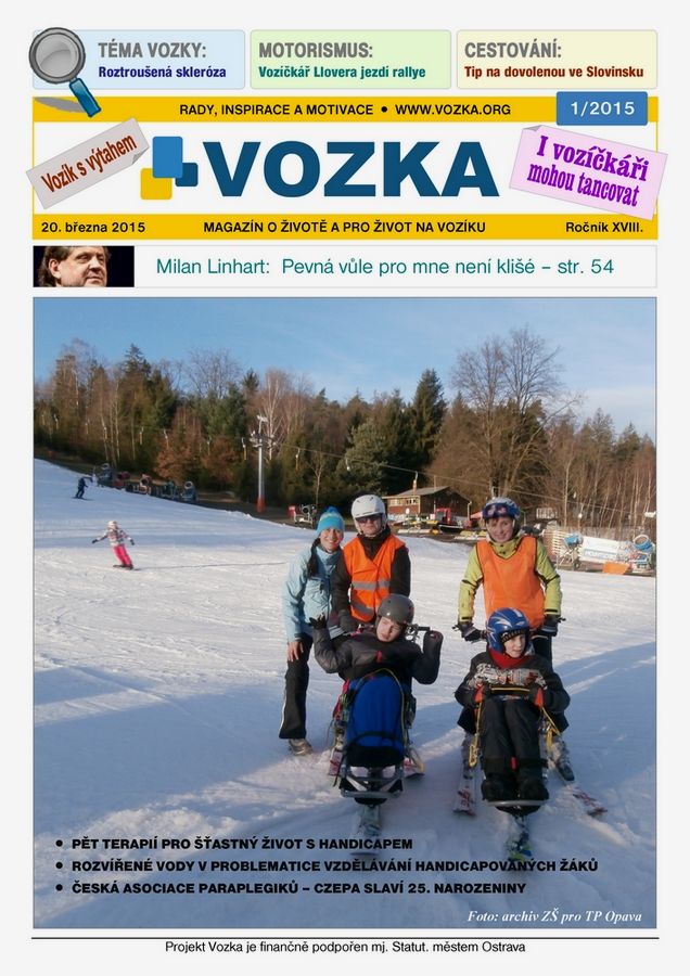 voz.jpg