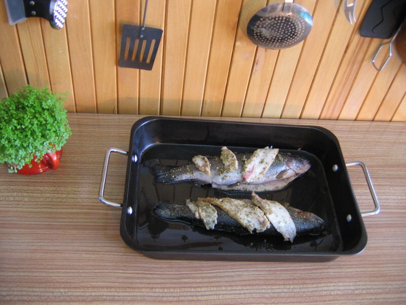 http://www.prvnikrok.cz/www_old/clanky/obrazky/868/IMG_0963.jpg