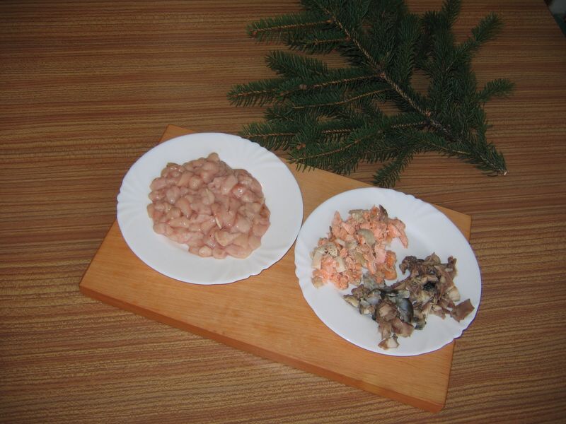 http://www.prvnikrok.cz/www_old/clanky/obrazky/869/IMG_1486.jpg